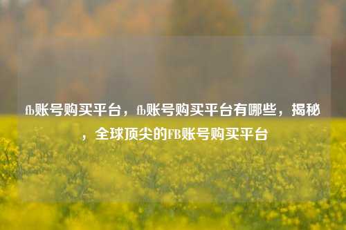 fb账号购买平台，fb账号购买平台有哪些，揭秘，全球顶尖的FB账号购买平台