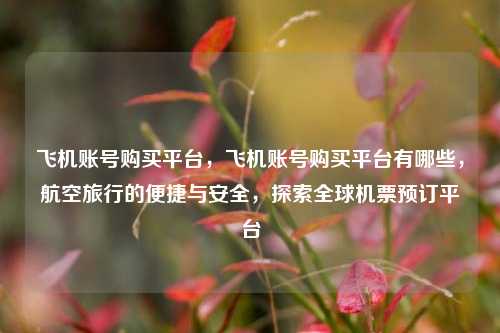 飞机账号购买平台，飞机账号购买平台有哪些，航空旅行的便捷与安全，探索全球机票预订平台
