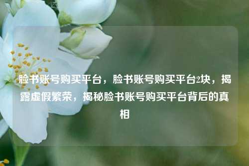 脸书账号购买平台，脸书账号购买平台2块，揭露虚假繁荣，揭秘脸书账号购买平台背后的真相