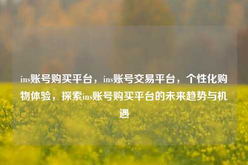 ins账号购买平台，ins账号交易平台，个性化购物体验，探索ins账号购买平台的未来趋势与机遇