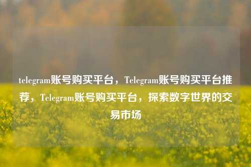 telegram账号购买平台，Telegram账号购买平台推荐，Telegram账号购买平台，探索数字世界的交易市场