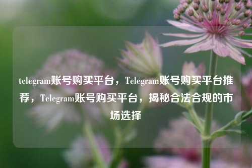 telegram账号购买平台，Telegram账号购买平台推荐，Telegram账号购买平台，揭秘合法合规的市场选择
