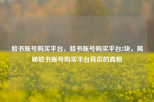 脸书账号购买平台，脸书账号购买平台2块，揭秘脸书账号购买平台背后的真相