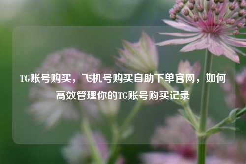 TG账号购买，飞机号购买自助下单官网，如何高效管理你的TG账号购买记录