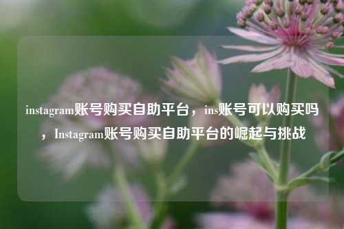 instagram账号购买自助平台，ins账号可以购买吗，Instagram账号购买自助平台的崛起与挑战
