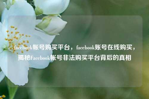 facebook帐号购买平台，facebook账号在线购买，揭秘Facebook帐号非法购买平台背后的真相