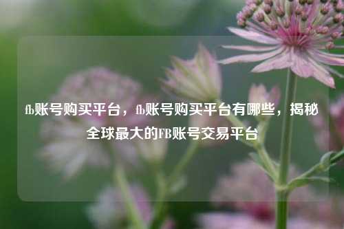fb账号购买平台，fb账号购买平台有哪些，揭秘全球最大的FB账号交易平台  第1张