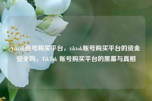 tiktok账号购买平台，tiktok账号购买平台的资金安全吗，TikTok 账号购买平台的黑幕与真相
