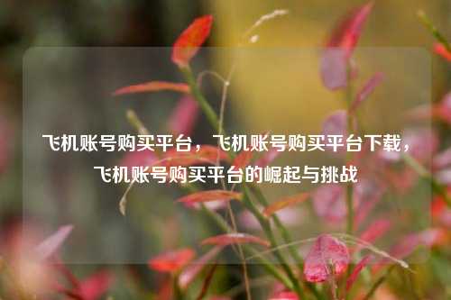 飞机账号购买平台，飞机账号购买平台下载，飞机账号购买平台的崛起与挑战