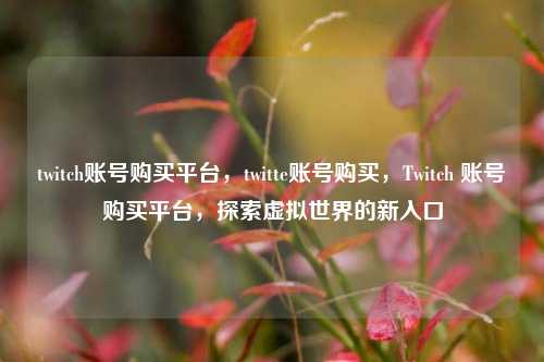 twitch账号购买平台，twitte账号购买，Twitch 账号购买平台，探索虚拟世界的新入口