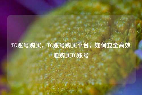 TG账号购买，TG账号购买平台，如何安全高效地购买TG账号