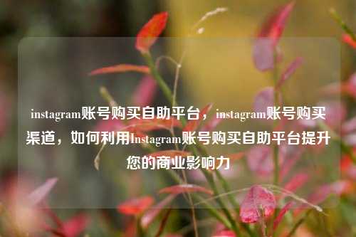 instagram账号购买自助平台，instagram账号购买渠道，如何利用Instagram账号购买自助平台提升您的商业影响力