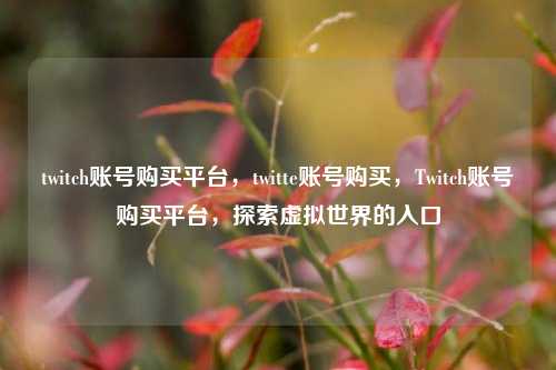 twitch账号购买平台，twitte账号购买，Twitch账号购买平台，探索虚拟世界的入口