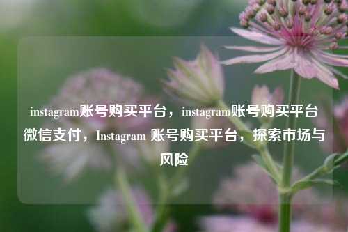 instagram账号购买平台，instagram账号购买平台微信支付，Instagram 账号购买平台，探索市场与风险