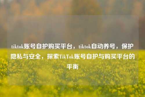 tiktok账号自护购买平台，tiktok自动养号，保护隐私与安全，探索TikTok账号自护与购买平台的平衡