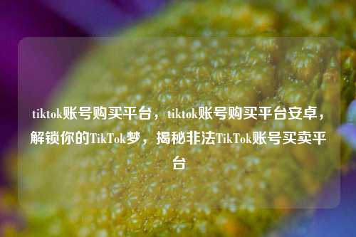 tiktok账号购买平台，tiktok账号购买平台安卓，解锁你的TikTok梦，揭秘非法TikTok账号买卖平台