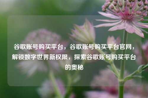 谷歌账号购买平台，谷歌账号购买平台官网，解锁数字世界新权限，探索谷歌账号购买平台的奥秘