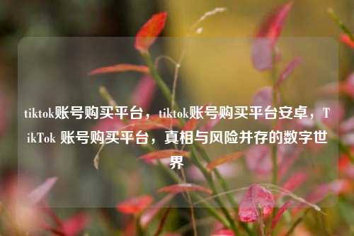 tiktok账号购买平台，tiktok账号购买平台安卓，TikTok 账号购买平台，真相与风险并存的数字世界