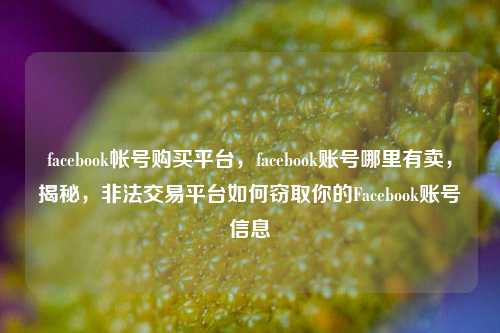 facebook帐号购买平台，facebook账号哪里有卖，揭秘，非法交易平台如何窃取你的Facebook账号信息
