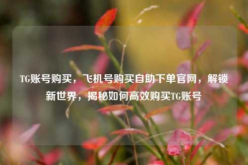 TG账号购买，飞机号购买自助下单官网，解锁新世界，揭秘如何高效购买TG账号