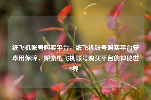 纸飞机账号购买平台，纸飞机账号购买平台安卓用保障，探索纸飞机账号购买平台的神秘世界