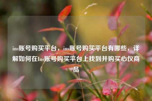 ins账号购买平台，ins账号购买平台有哪些，详解如何在Ins账号购买平台上找到并购买心仪商品