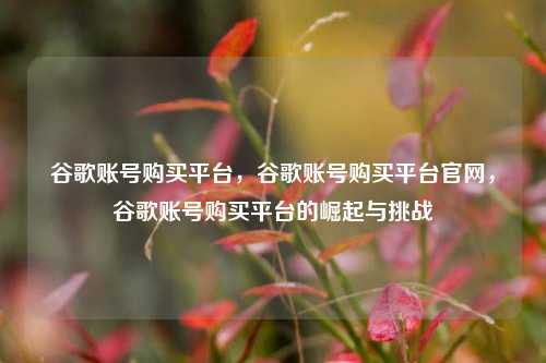谷歌账号购买平台，谷歌账号购买平台官网，谷歌账号购买平台的崛起与挑战