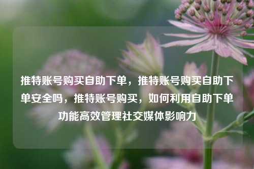 推特账号购买自助下单，推特账号购买自助下单安全吗，推特账号购买，如何利用自助下单功能高效管理社交媒体影响力