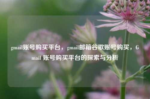 gmail账号购买平台，gmail邮箱谷歌账号购买，Gmail 账号购买平台的探索与分析