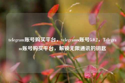 telegram账号购买平台，telegramx账号5.0.2，Telegram账号购买平台，解锁无限通讯的钥匙