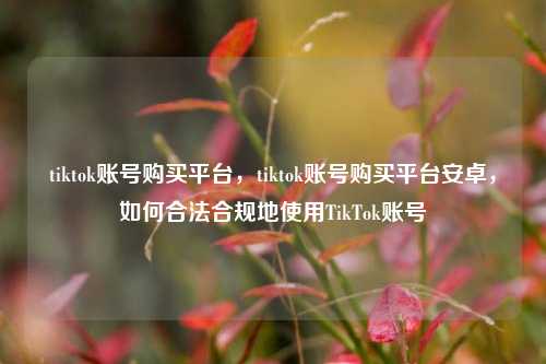 tiktok账号购买平台，tiktok账号购买平台安卓，如何合法合规地使用TikTok账号
