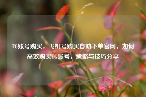 TG账号购买，飞机号购买自助下单官网，如何高效购买TG账号，策略与技巧分享