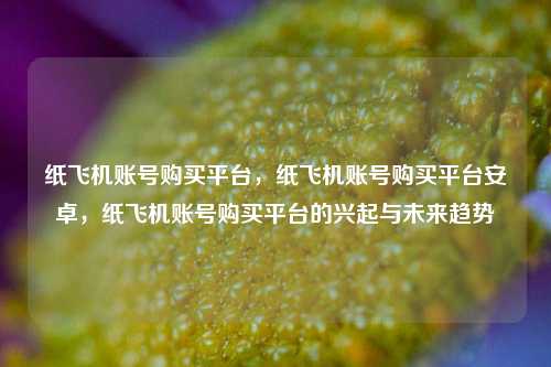 纸飞机账号购买平台，纸飞机账号购买平台安卓，纸飞机账号购买平台的兴起与未来趋势
