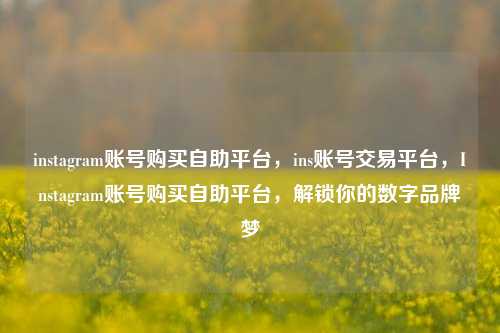instagram账号购买自助平台，ins账号交易平台，Instagram账号购买自助平台，解锁你的数字品牌梦