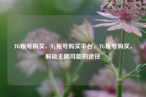 TG账号购买，Tg账号购买平台，TG账号购买，解锁无限可能的途径