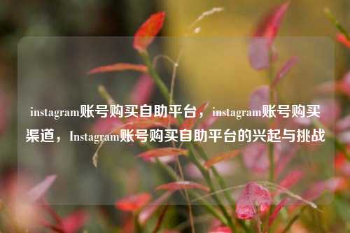 instagram账号购买自助平台，instagram账号购买渠道，Instagram账号购买自助平台的兴起与挑战