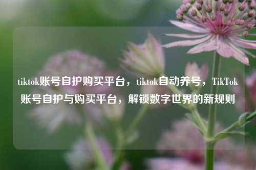 tiktok账号自护购买平台，tiktok自动养号，TikTok账号自护与购买平台，解锁数字世界的新规则