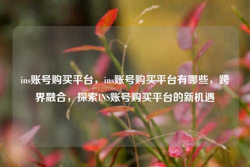 ins账号购买平台，ins账号购买平台有哪些，跨界融合，探索INS账号购买平台的新机遇