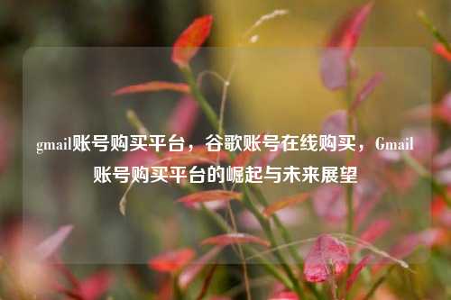 gmail账号购买平台，谷歌账号在线购买，Gmail账号购买平台的崛起与未来展望
