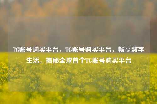 TG账号购买平台，TG账号购买平台，畅享数字生活，揭秘全球首个TG账号购买平台