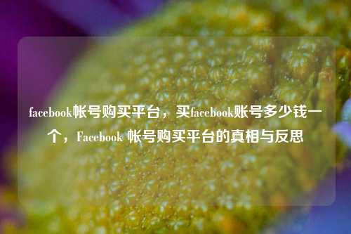 facebook帐号购买平台，买facebook账号多少钱一个	，Facebook 帐号购买平台的真相与反思  第1张