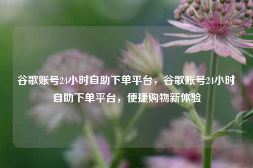 谷歌账号24小时自助下单平台，谷歌账号24小时自助下单平台，便捷购物新体验