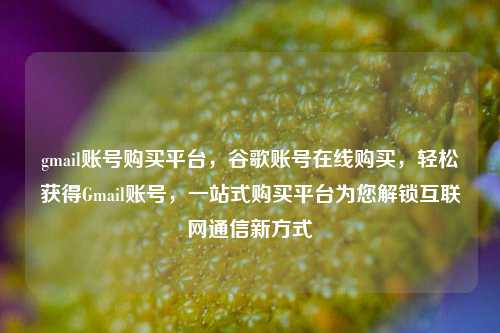 gmail账号购买平台，谷歌账号在线购买，轻松获得Gmail账号，一站式购买平台为您解锁互联网通信新方式