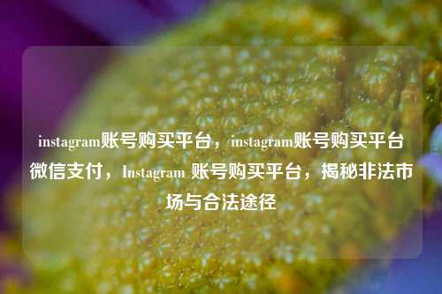 instagram账号购买平台，instagram账号购买平台微信支付，Instagram 账号购买平台，揭秘非法市场与合法途径