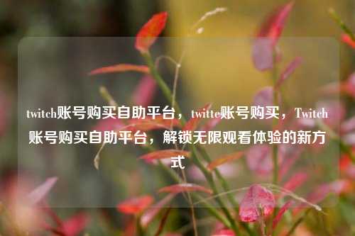 twitch账号购买自助平台，twitte账号购买，Twitch账号购买自助平台，解锁无限观看体验的新方式