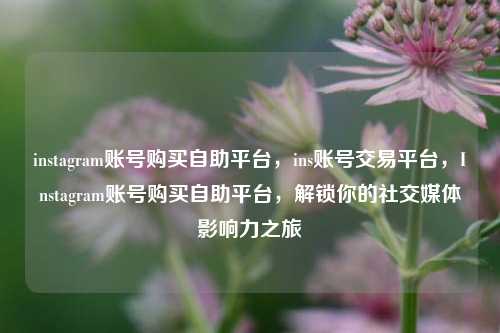 instagram账号购买自助平台，ins账号交易平台，Instagram账号购买自助平台，解锁你的社交媒体影响力之旅