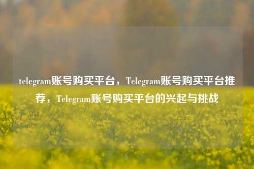 telegram账号购买平台，Telegram账号购买平台推荐，Telegram账号购买平台的兴起与挑战