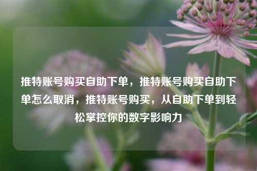 推特账号购买自助下单，推特账号购买自助下单怎么取消，推特账号购买，从自助下单到轻松掌控你的数字影响力