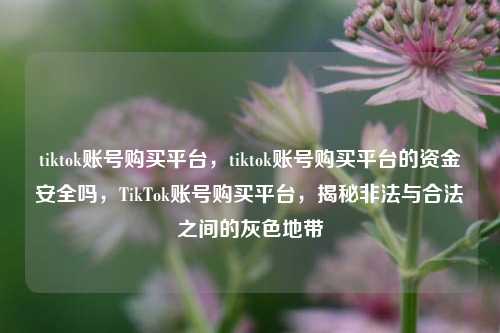 tiktok账号购买平台，tiktok账号购买平台的资金安全吗，TikTok账号购买平台，揭秘非法与合法之间的灰色地带  第1张