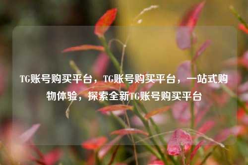 TG账号购买平台，TG账号购买平台，一站式购物体验，探索全新TG账号购买平台
